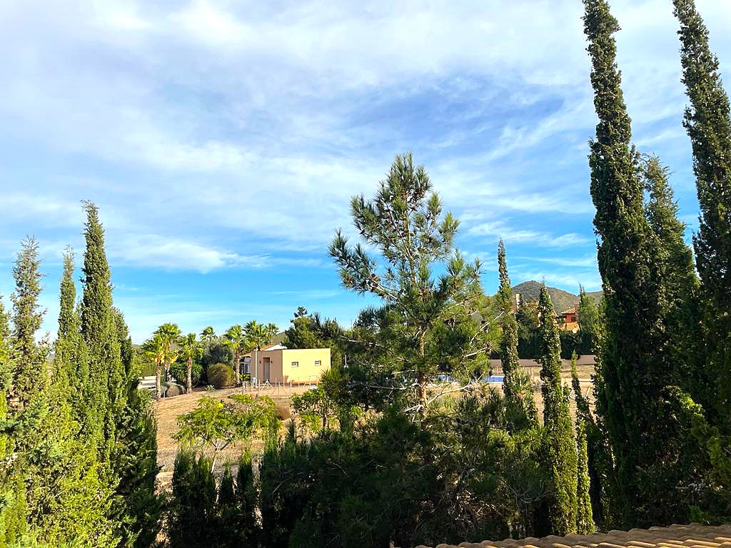 Photo 5 of Villa - Finca in Mazarron