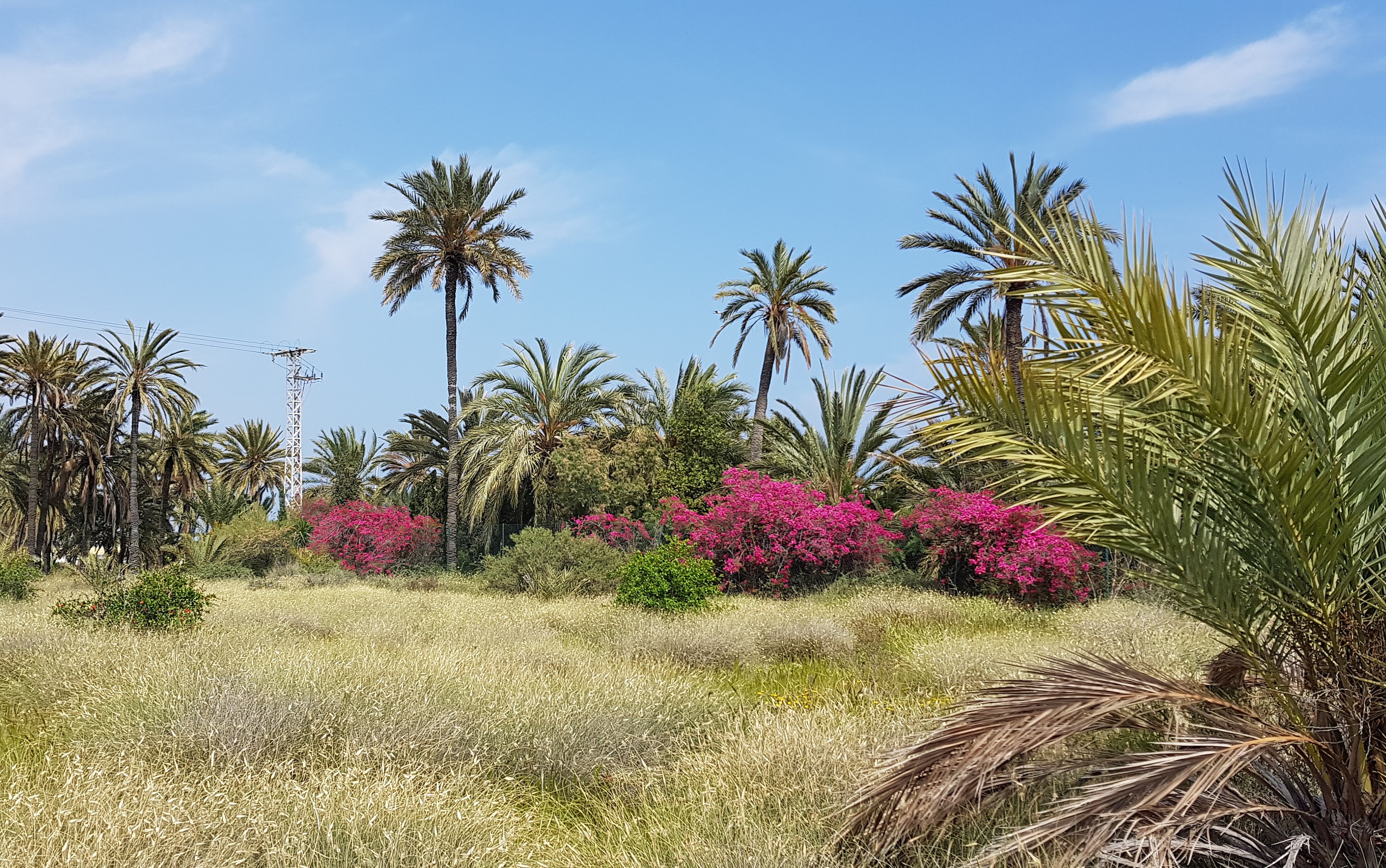 Photo 9 of Villa - Finca in Roldan