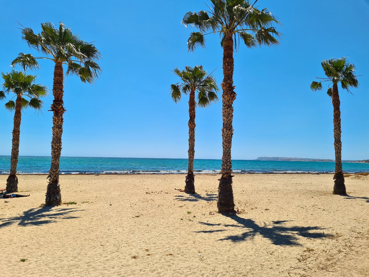 Photo 4 of Ultra-modern apartment 10-minutes from Alicante airport and beach!