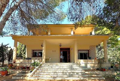Alicante renovation property for sale