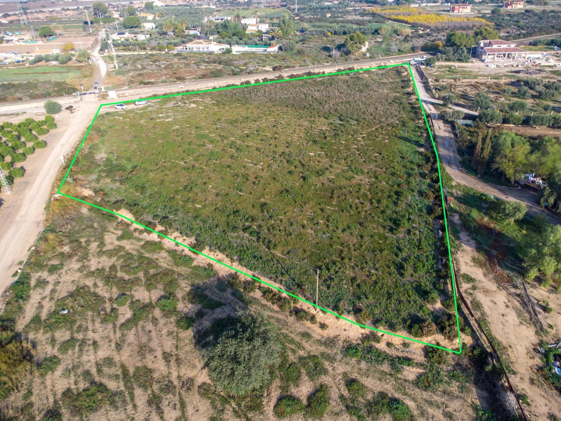 Photo 8 of Country Land in Crevillent