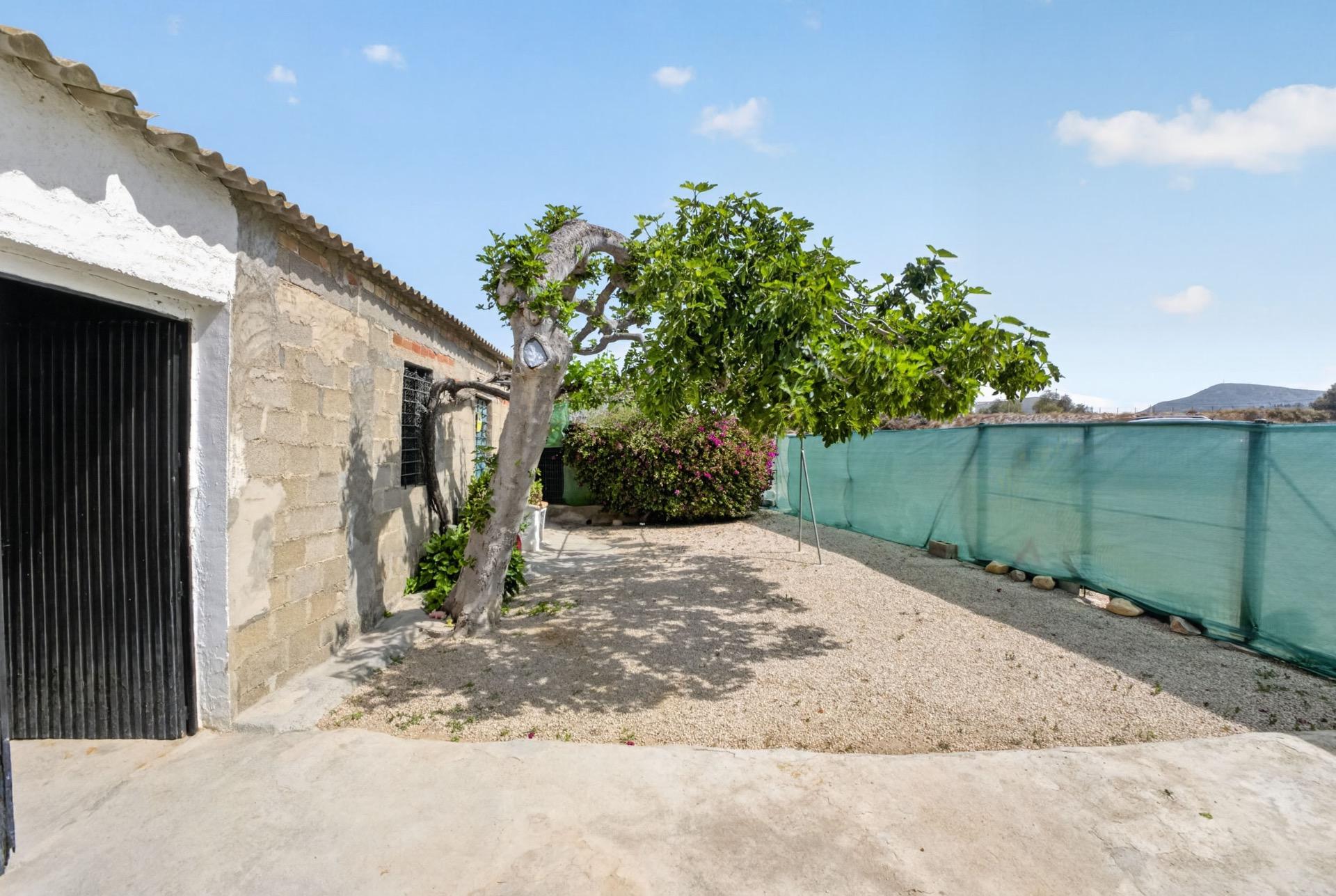 Photo 8 of country house in Orihuela