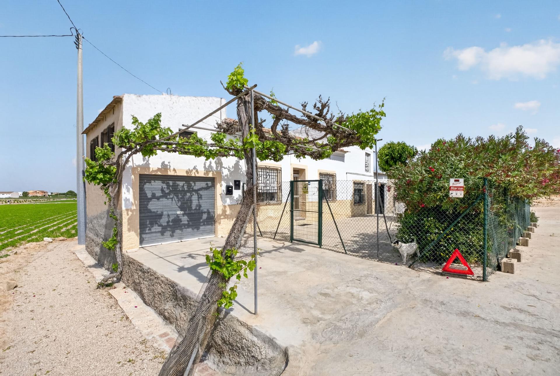 Photo 3 of country house in Orihuela