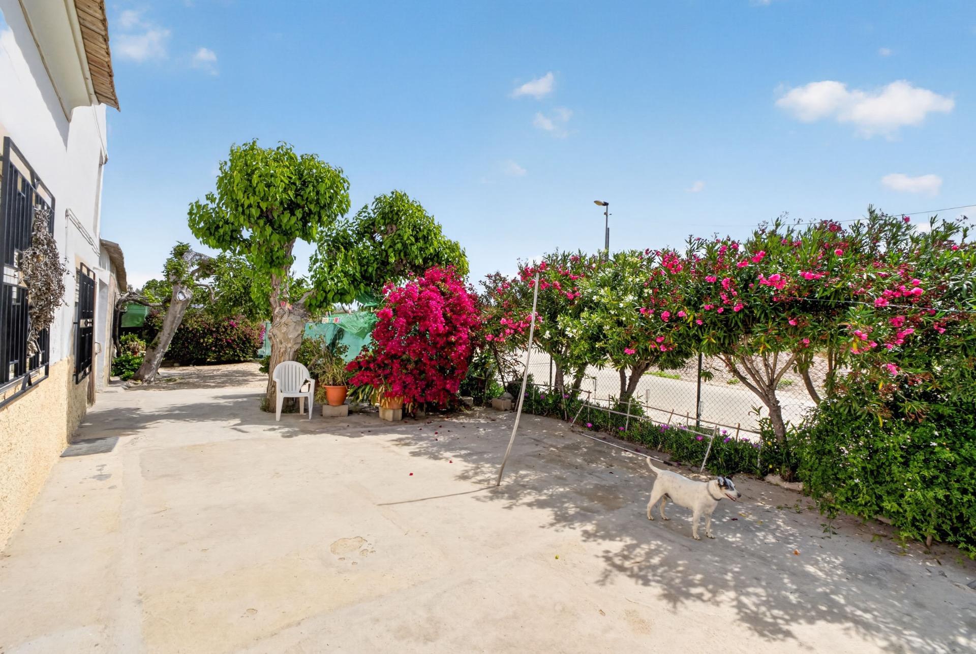 Photo 5 of country house in Orihuela