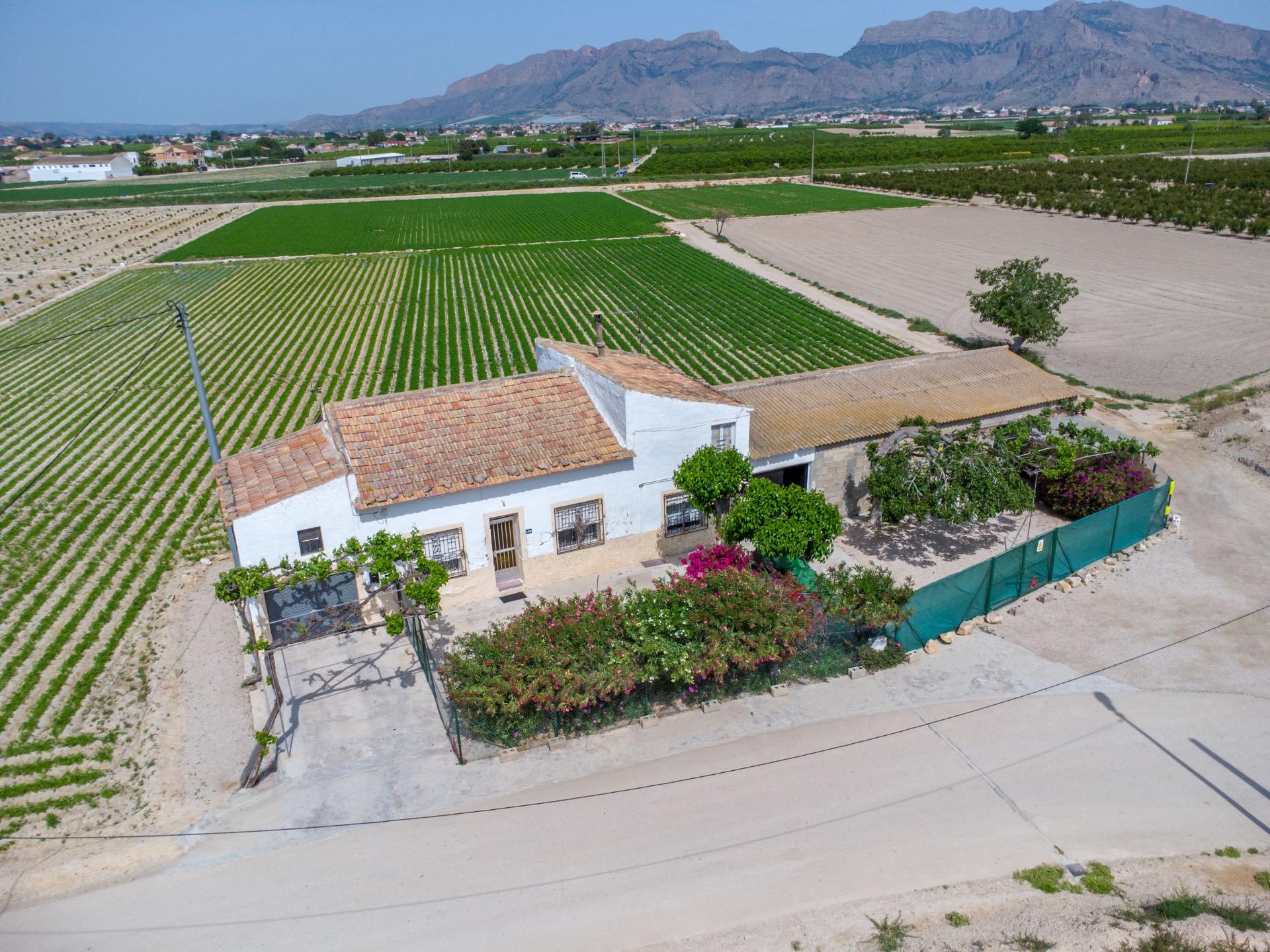 Photo 2 of country house in Orihuela