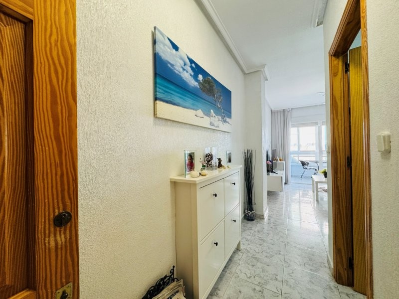 Photo 4 of Apartment in La Mata