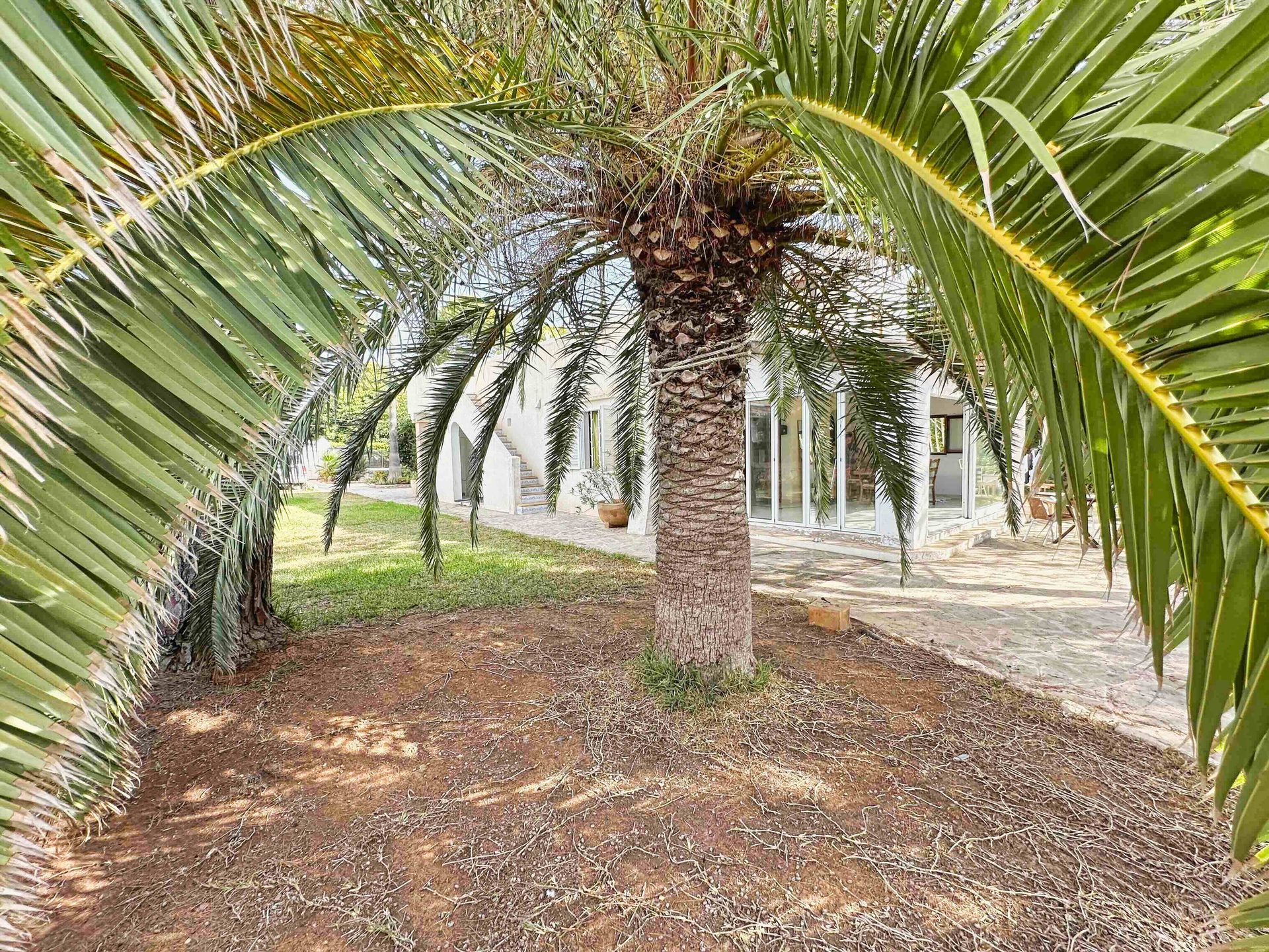 Photo 9 of Villa in Cala d'Or
