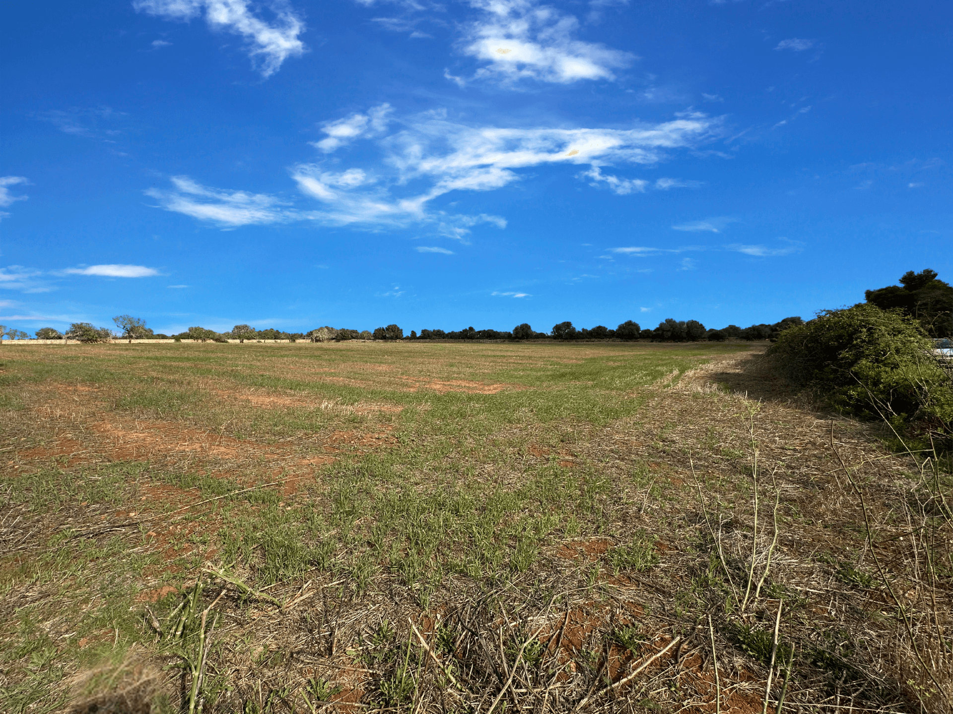 Land For Sale in Santanyí, Illes Balears, Spain