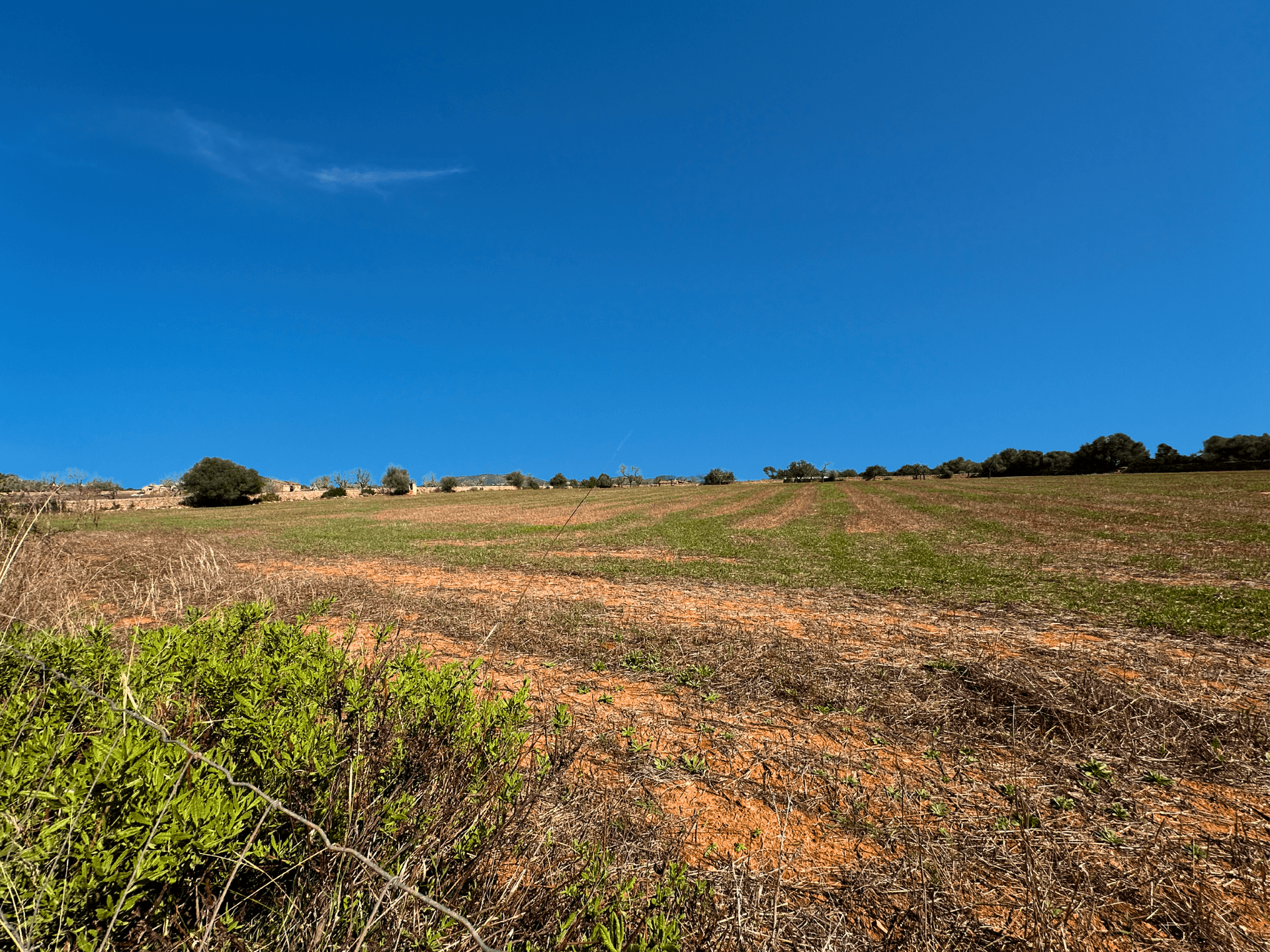 Photo 4 of Land in Santanyi