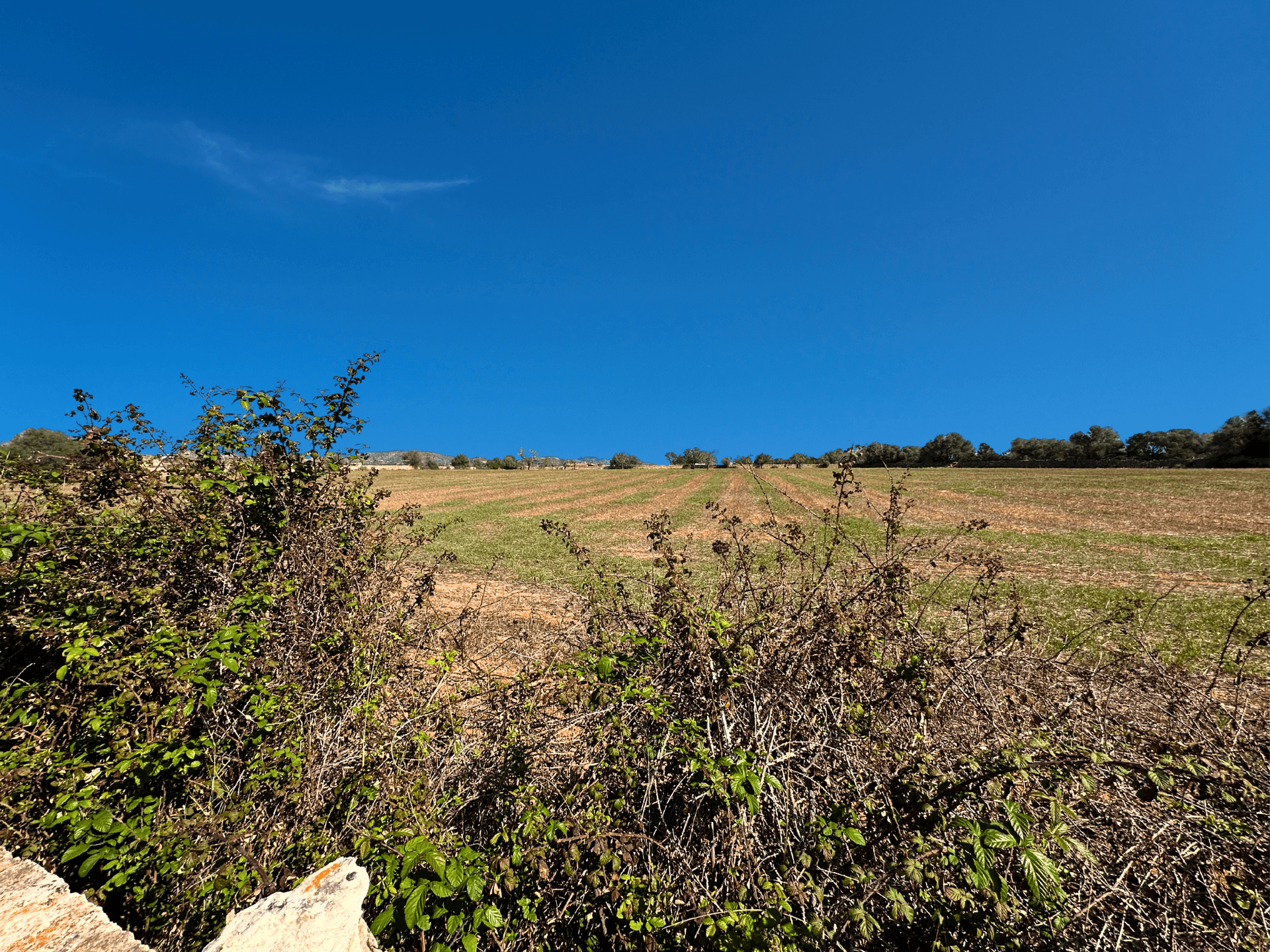 Photo 5 of Land in Santanyi