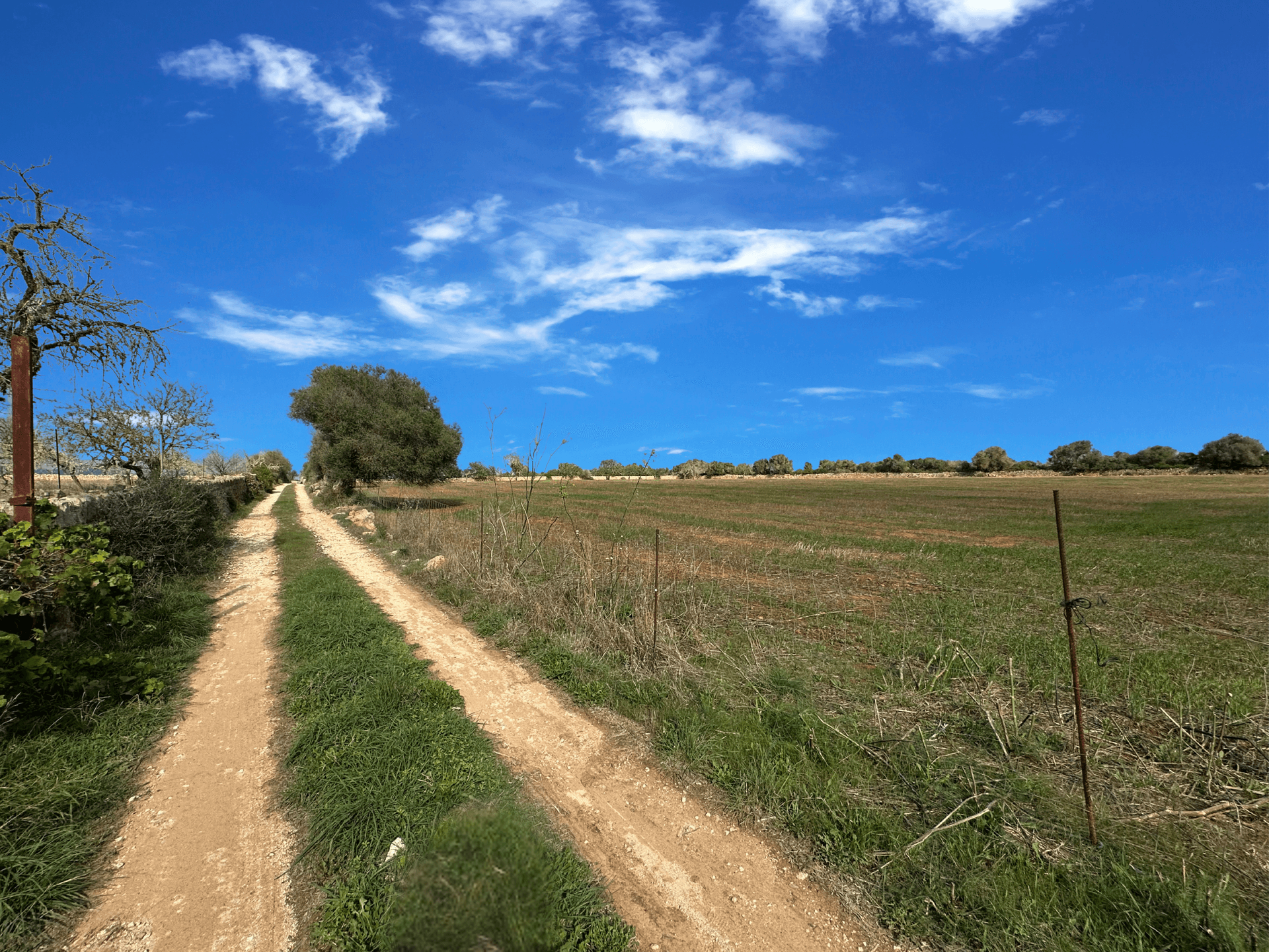 Photo 3 of Land in Santanyi