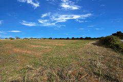 Land in Santanyi