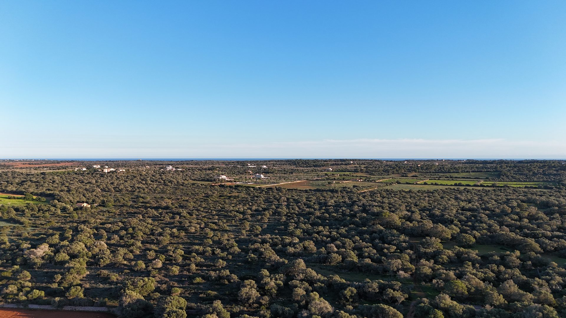 Photo 3 of Land in Ses Salines