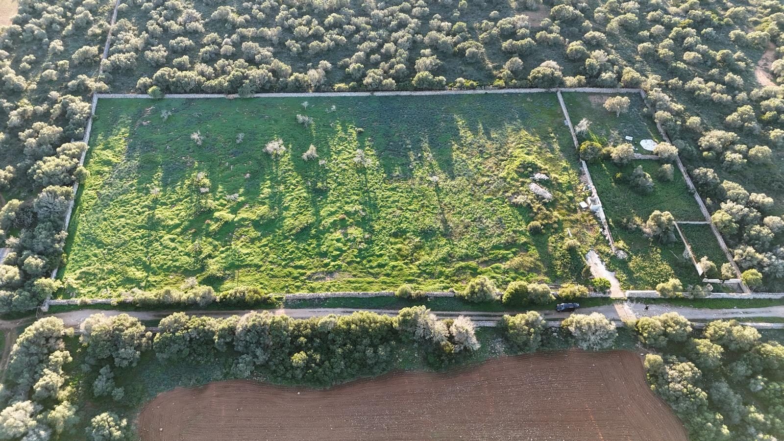 Photo 2 of Land in Ses Salines