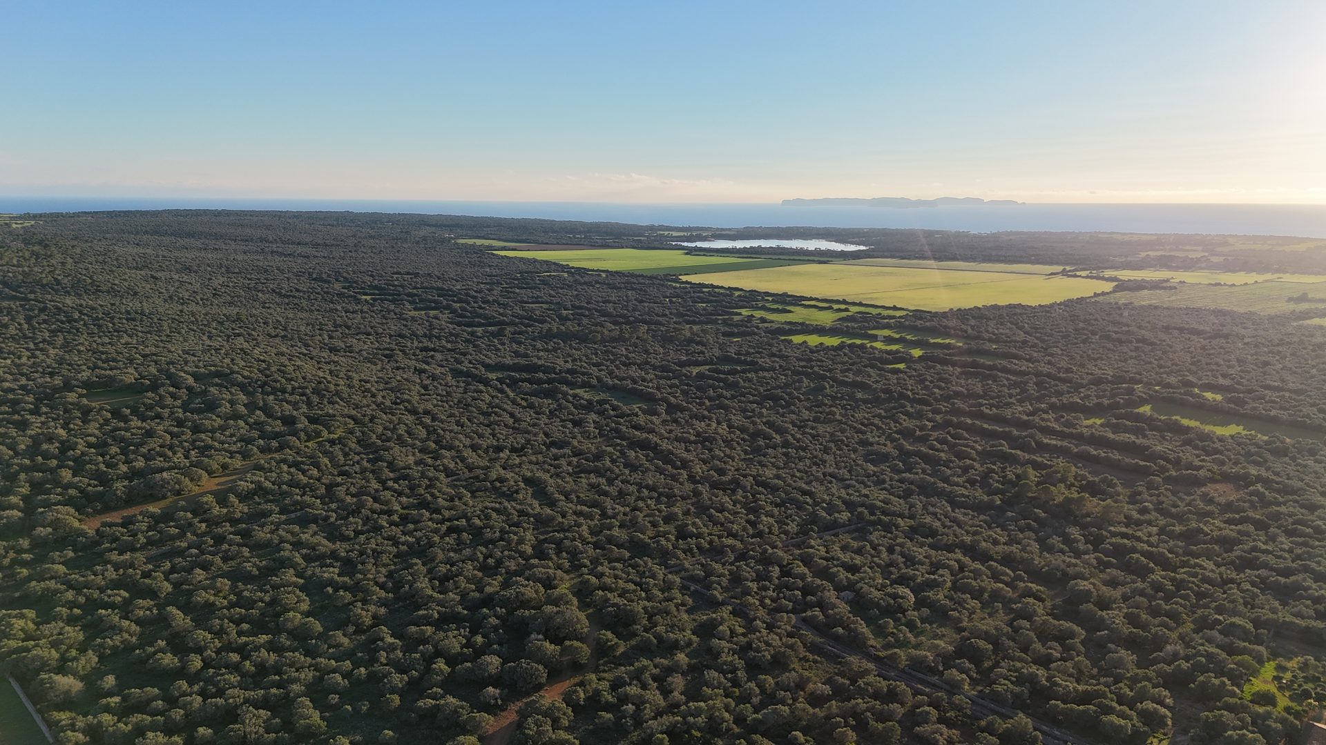 Land For Sale in Majorca, Spain