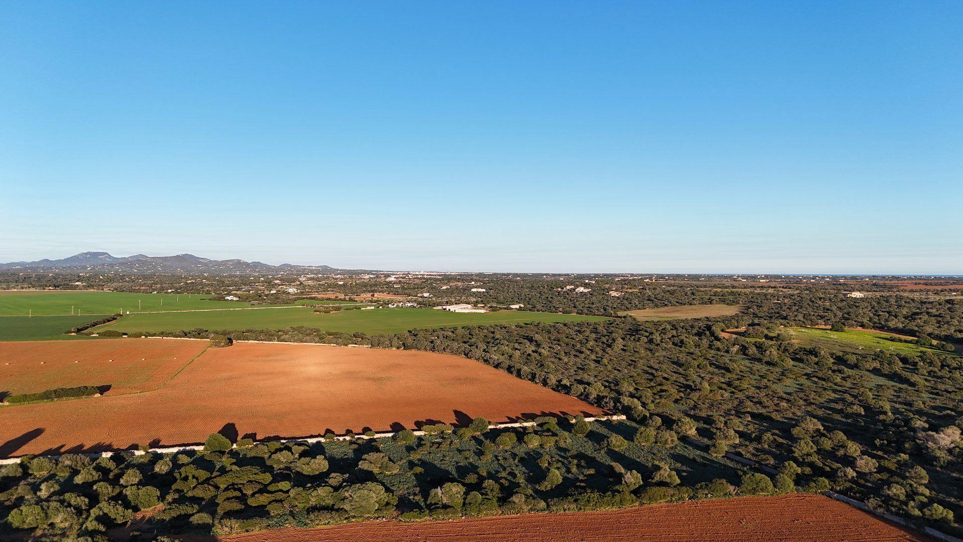 Photo 6 of Land in Ses Salines