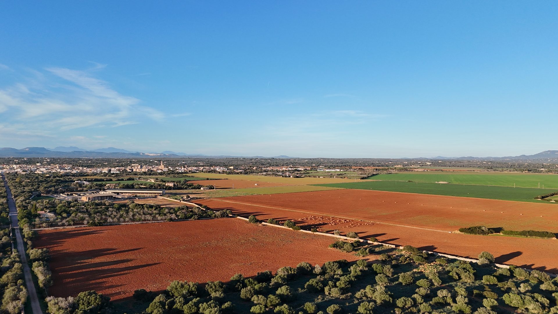 Photo 5 of Land in Ses Salines