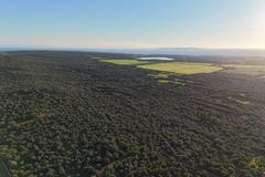 Land in Ses Salines