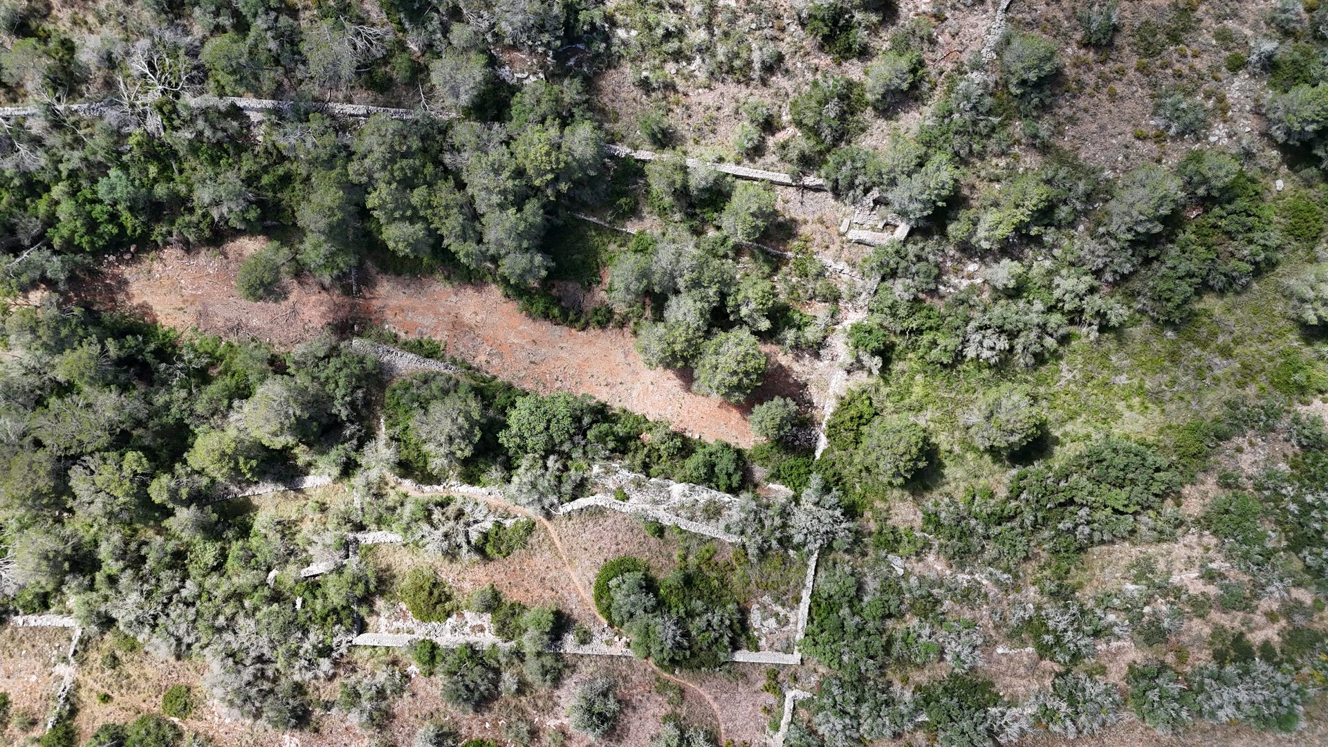 Photo 6 of Land in Santanyi