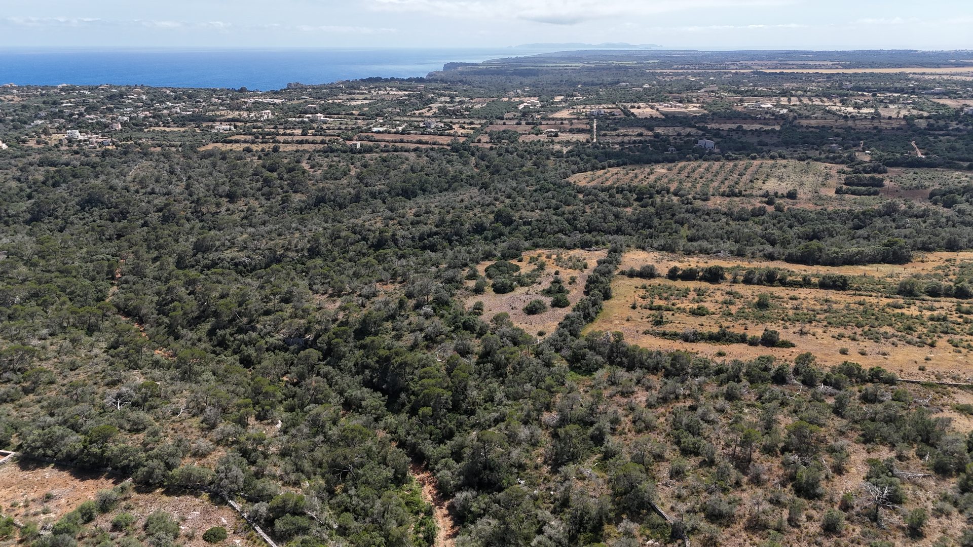 Photo 3 of Land in Santanyi