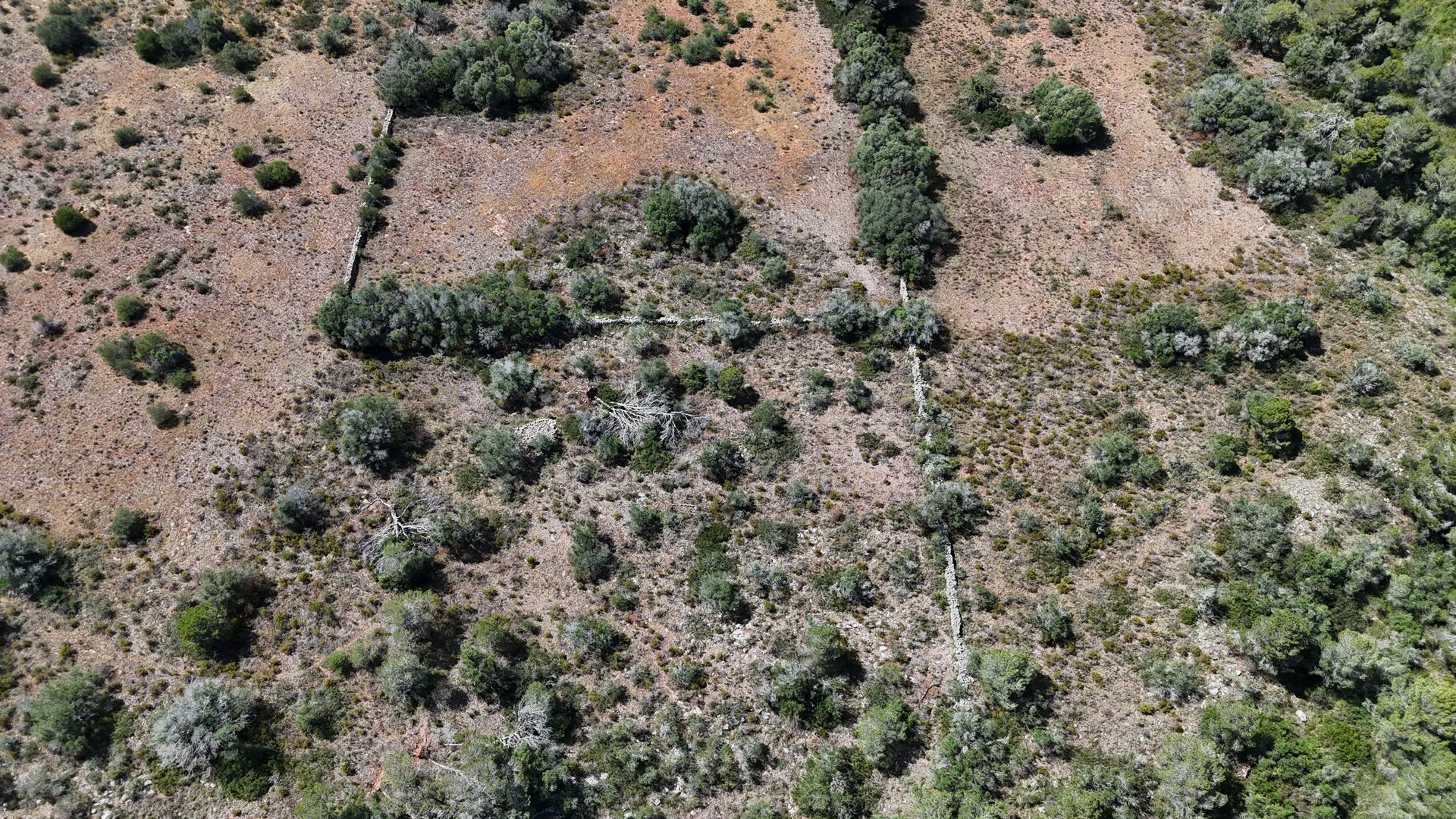 Photo 8 of Land in Santanyi