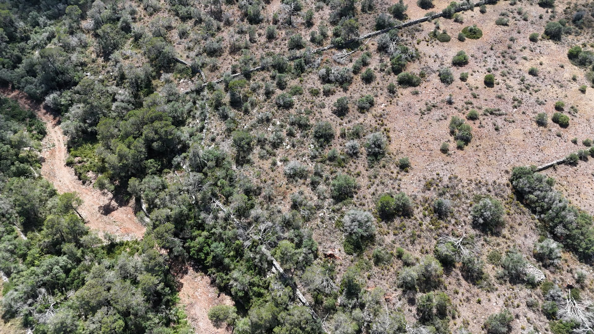 Photo 9 of Land in Santanyi