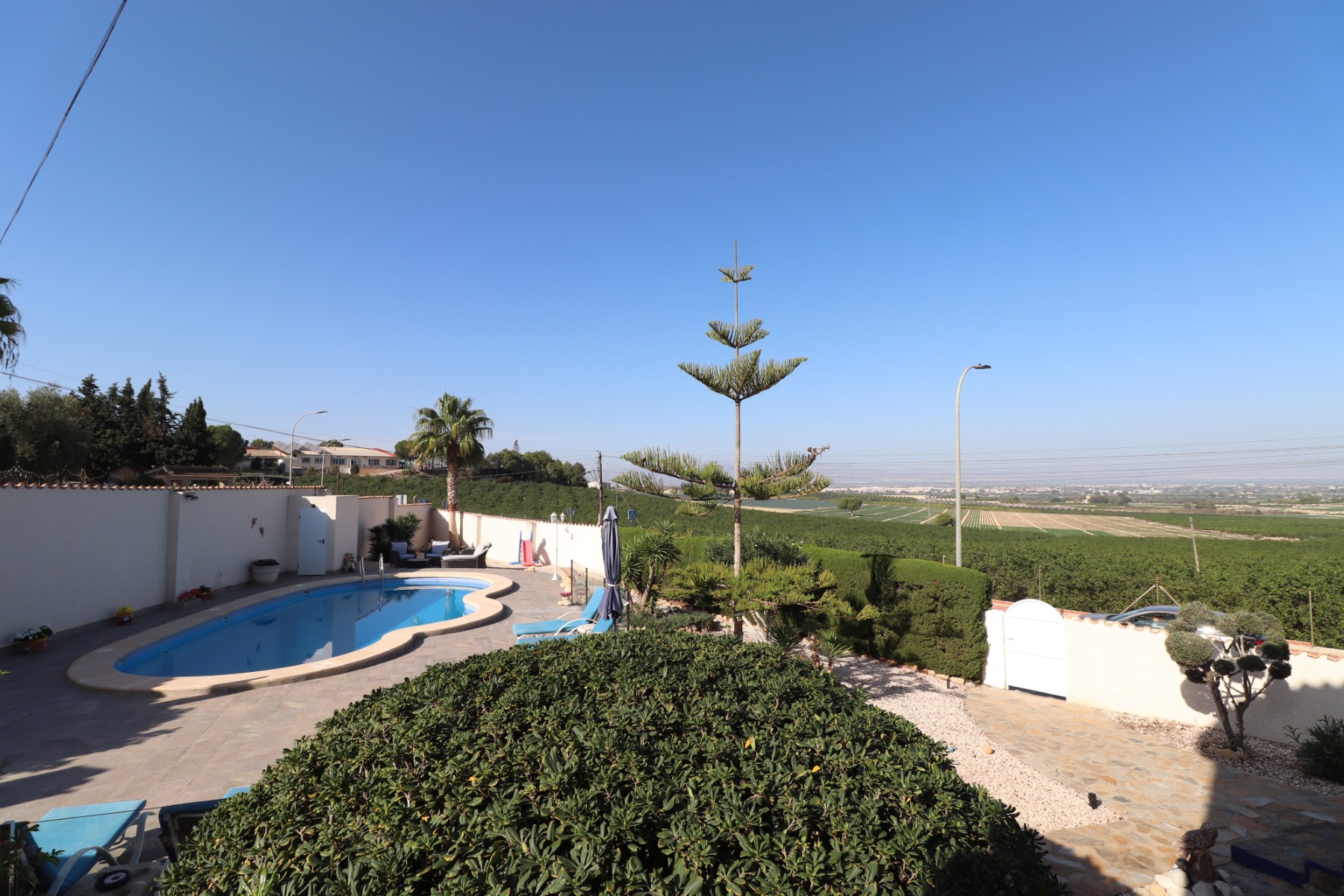 Photo 7 of Detached Villa in Algorfa