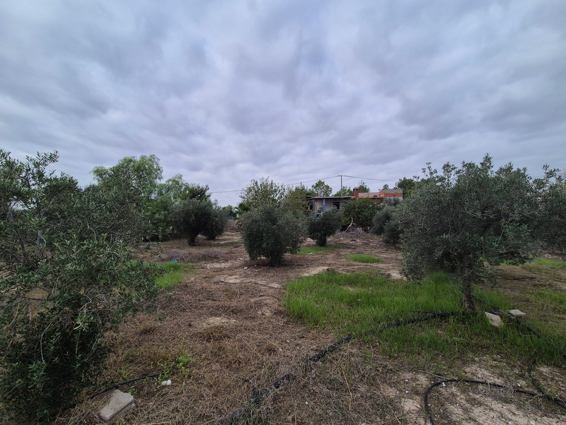 Photo 9 of Country House or Finca in Las Torres de Cotillas