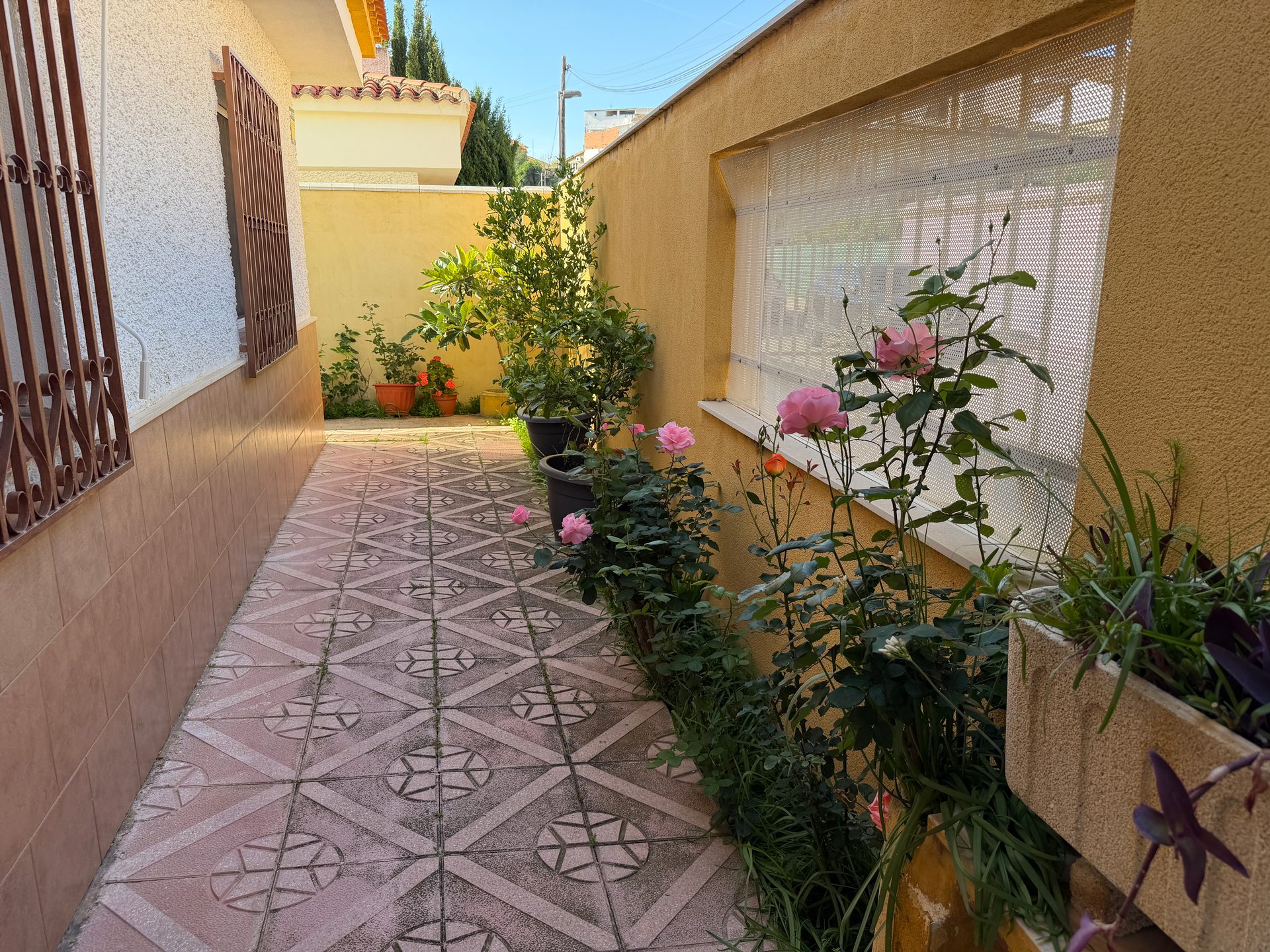 Photo 3 of Villa in Archena