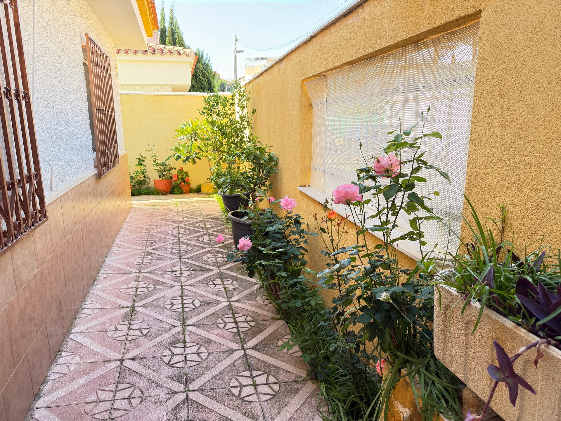 Photo 4 of Villa in Archena