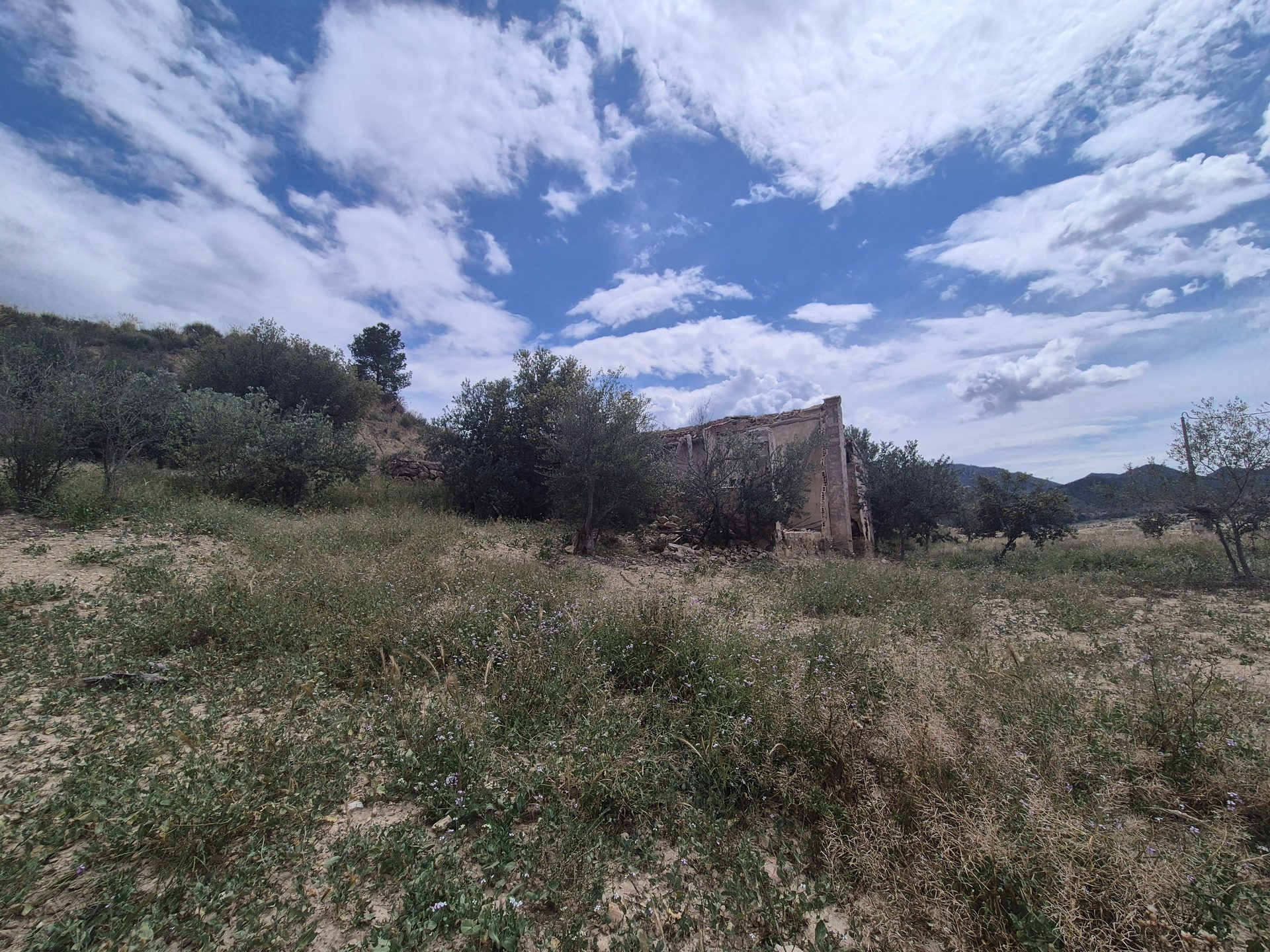 Photo 6 of Country House or Finca in Abaran