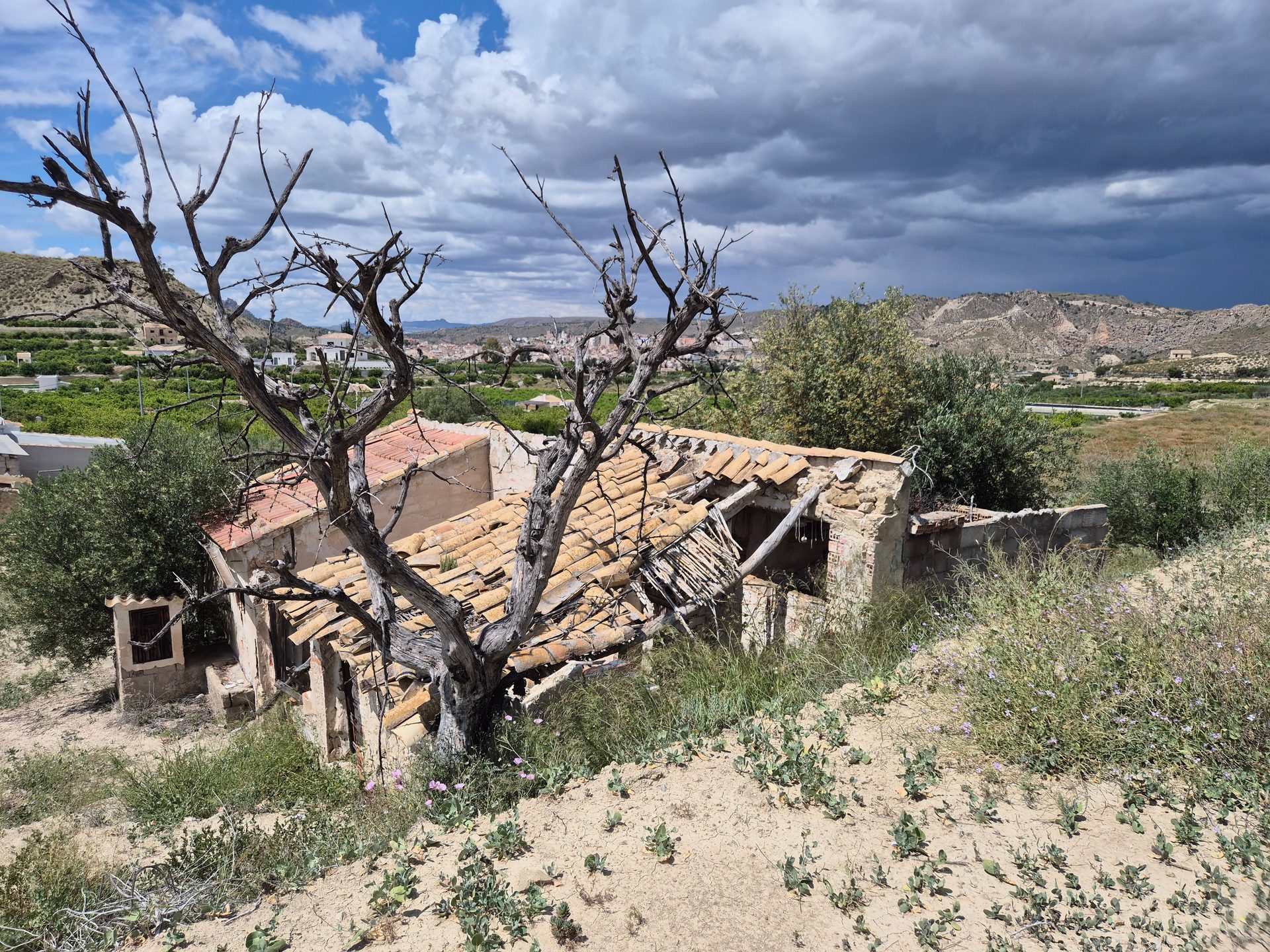 Country House or Finca for sale in Abarán, Murcia, Spain