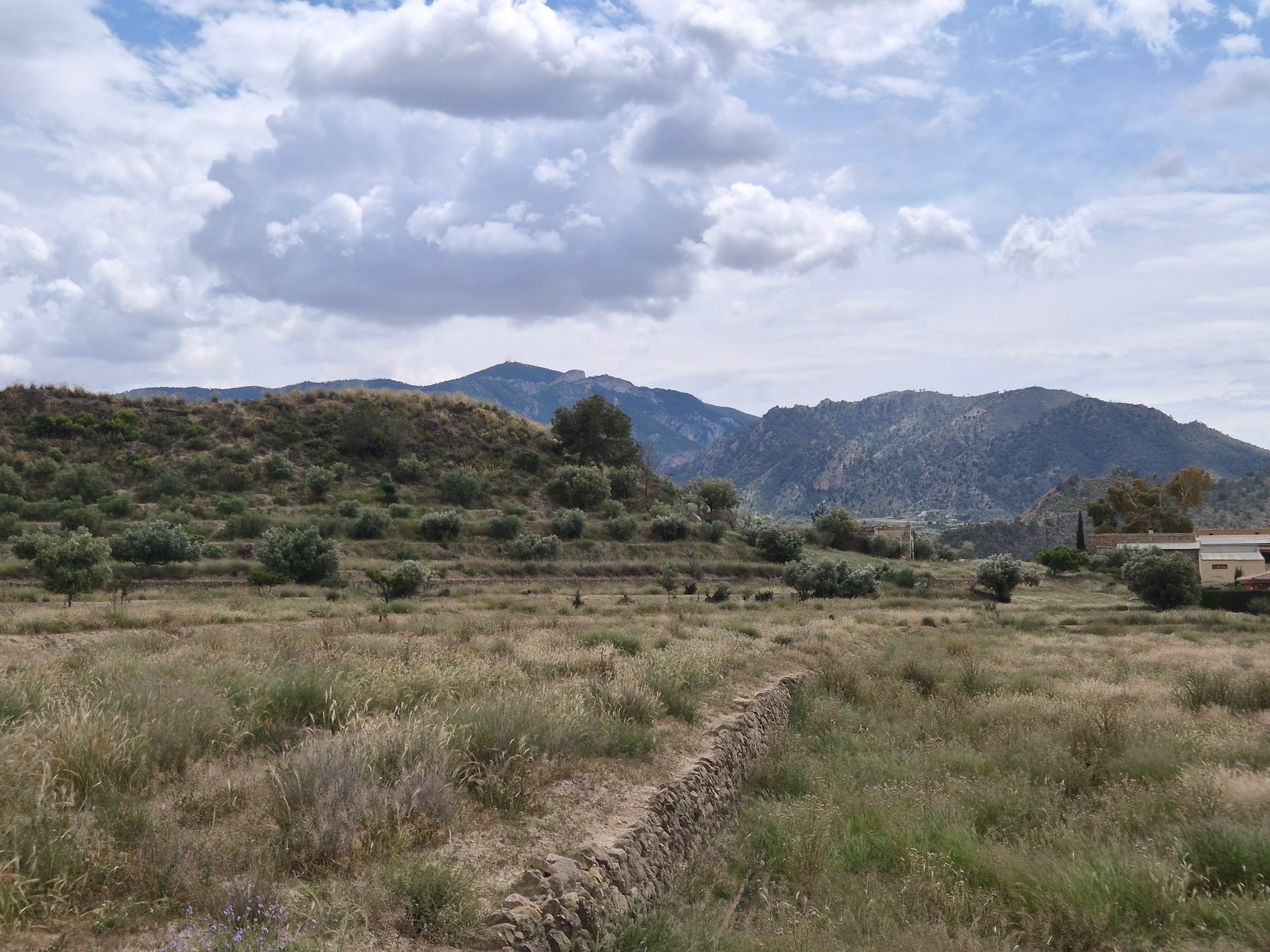 Photo 7 of Country House or Finca in Abaran