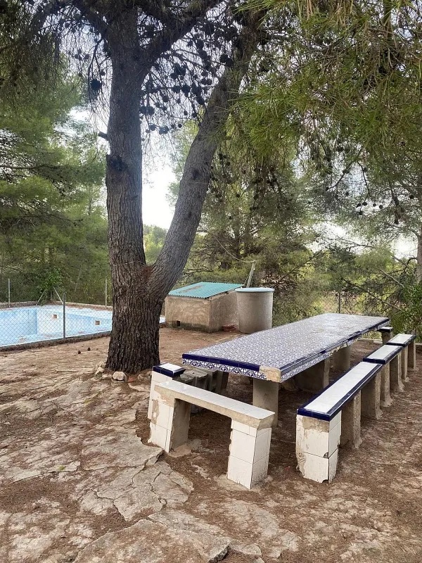 Photo 6 of Country House or Finca in El Berro