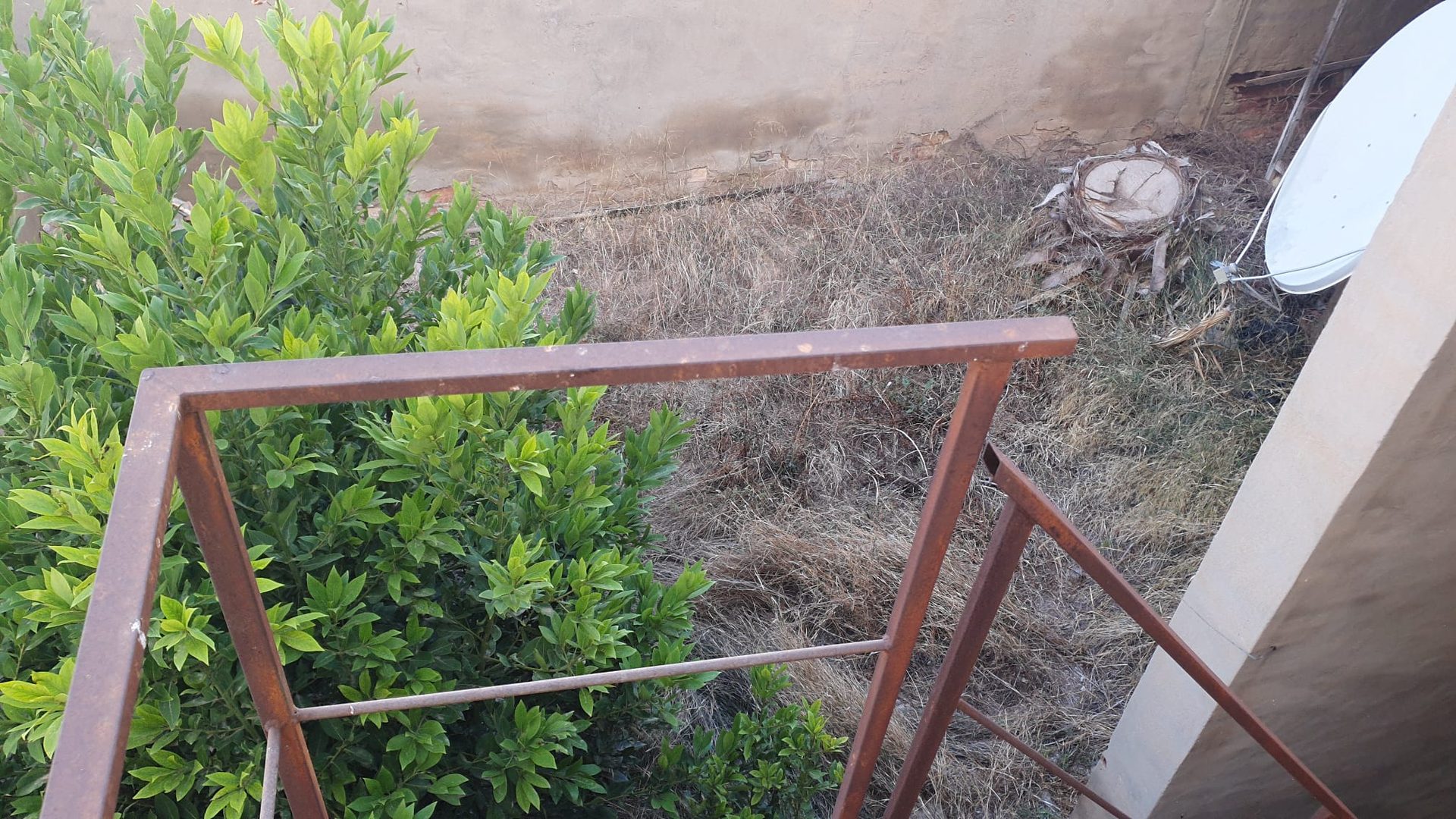 Photo 4 of Townhouse in Torrevieja