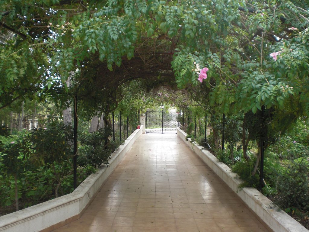 Photo 4 of Country House or Finca in Fortuna