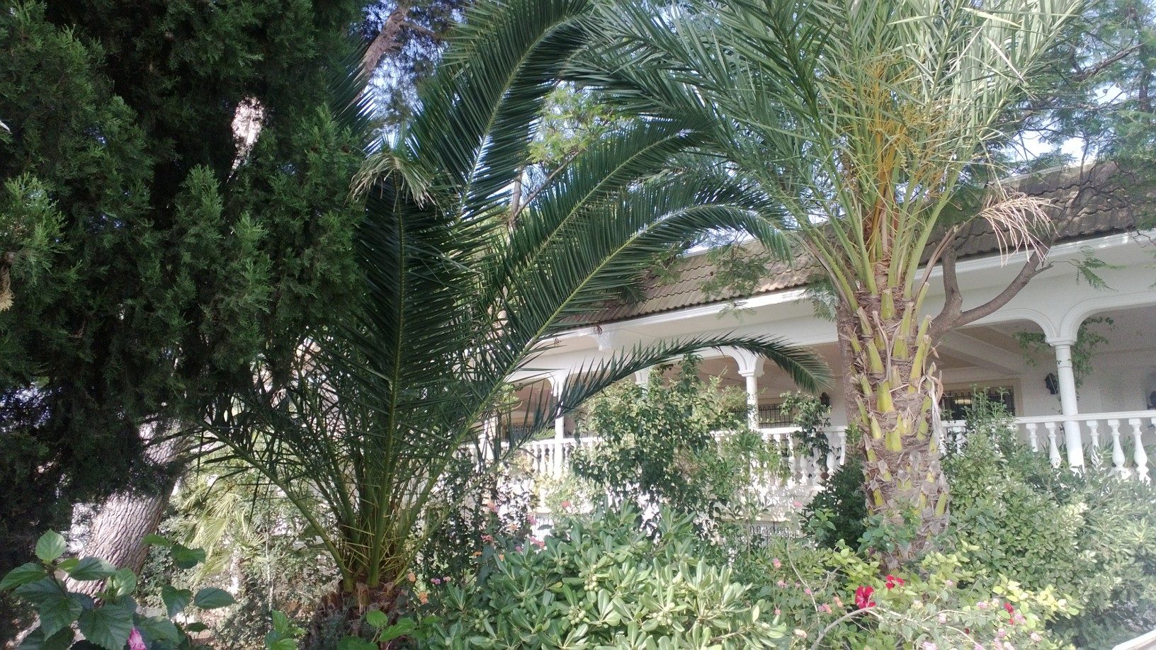 Photo 2 of Country House or Finca in Fortuna