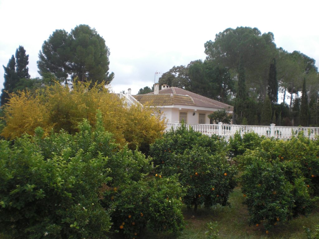 Photo 7 of Country House or Finca in Fortuna