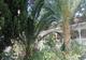 5-bed Country House or Finca for sale in Fortuna, Murcia, Spain &ndash; photo 2