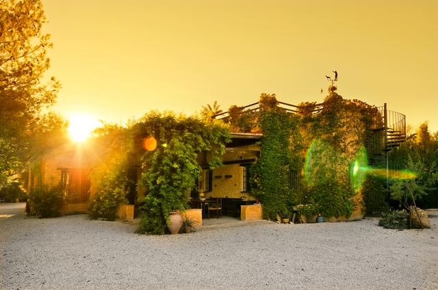 Photo 7 of Country House or Finca in Mula
