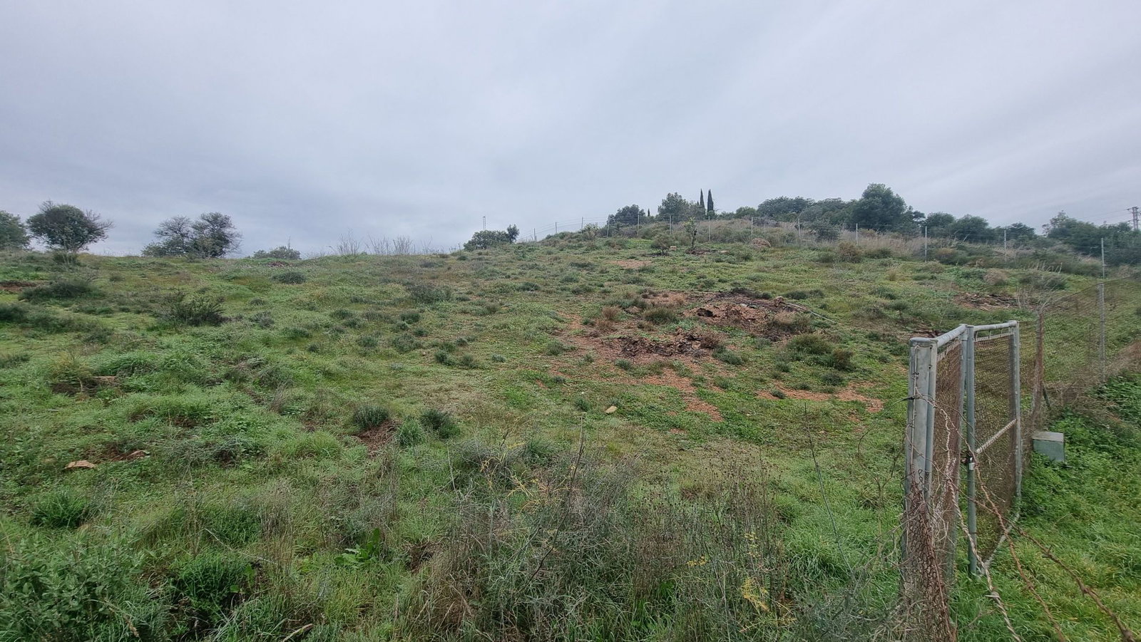 Photo 2 of Property in Coin