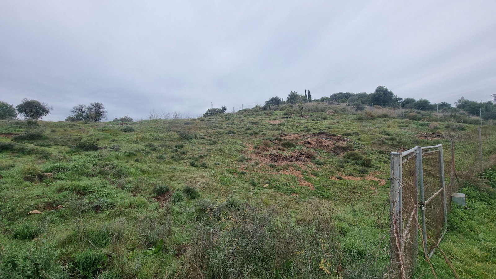 Photo 3 of Property in Coin