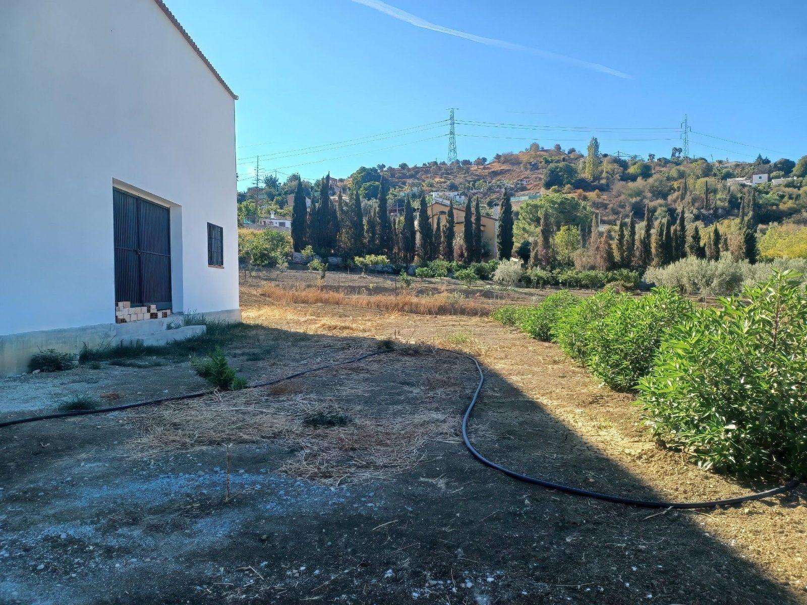 Photo 8 of Property in Coin