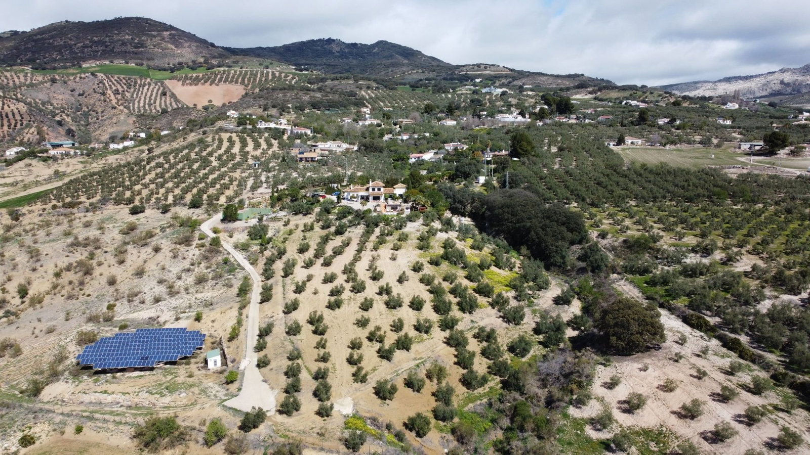 Photo 5 of Property in Antequera