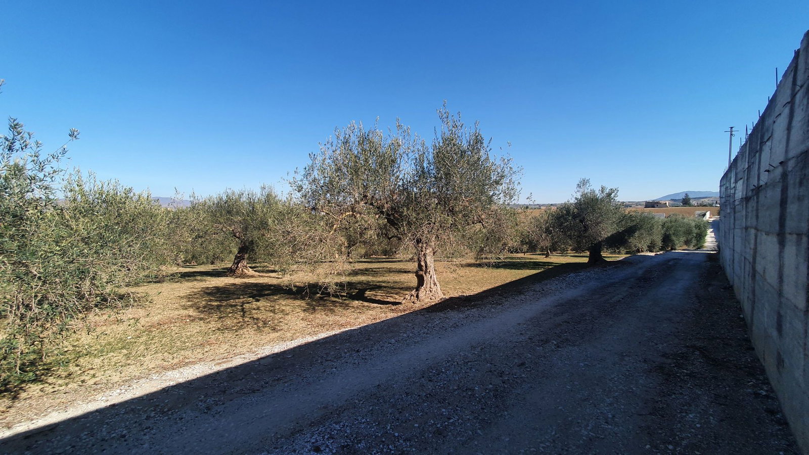 Photo 2 of Property in Alhaurin El Grande