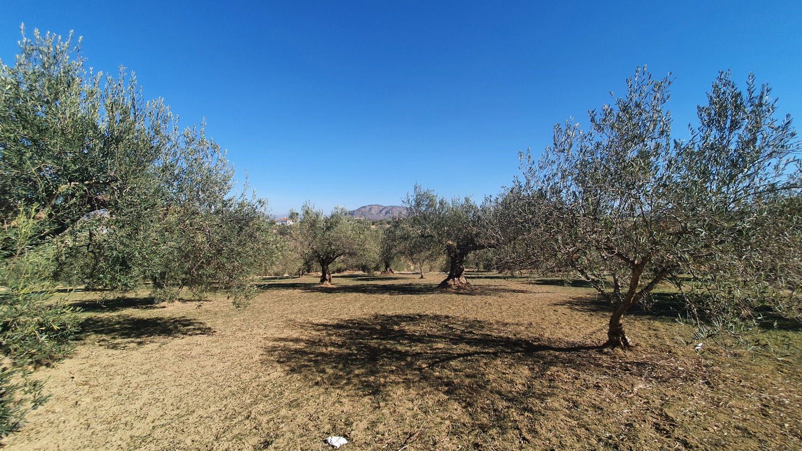 Photo 6 of Property in Alhaurin El Grande