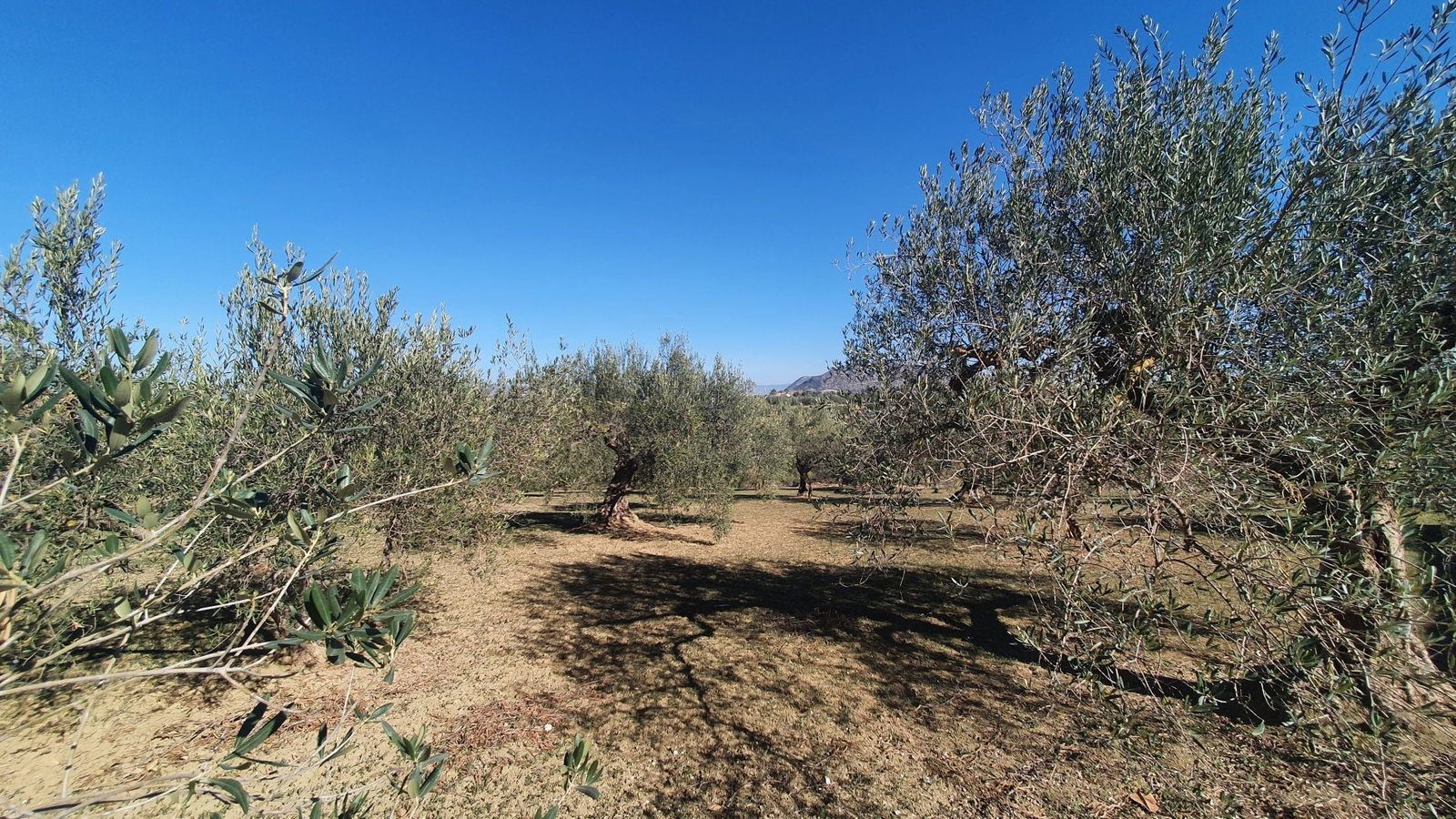 for sale in Alhaurín el Grande, Provincia de Málaga, Spain