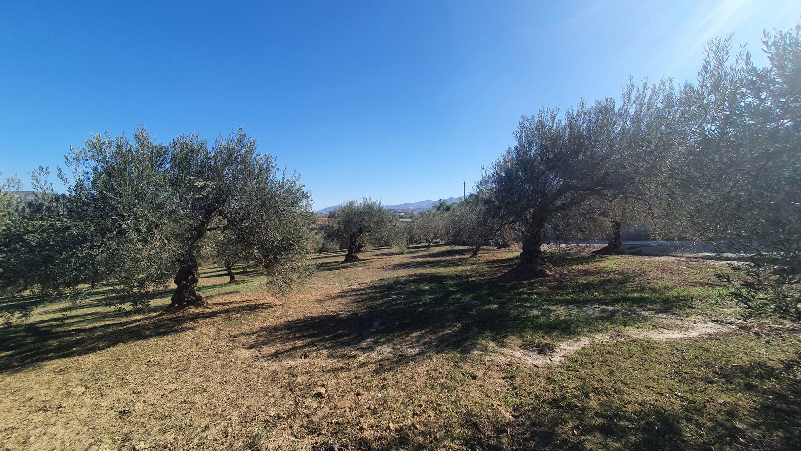 Photo 4 of Property in Alhaurin El Grande