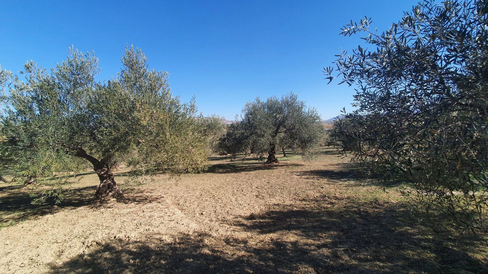 Photo 3 of Property in Alhaurin El Grande
