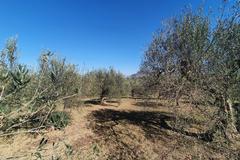 Property for sale in Alhaurín el Grande, Provincia de Málaga, Spain